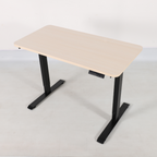 Evo Electric Standing Height Adjustable Desk