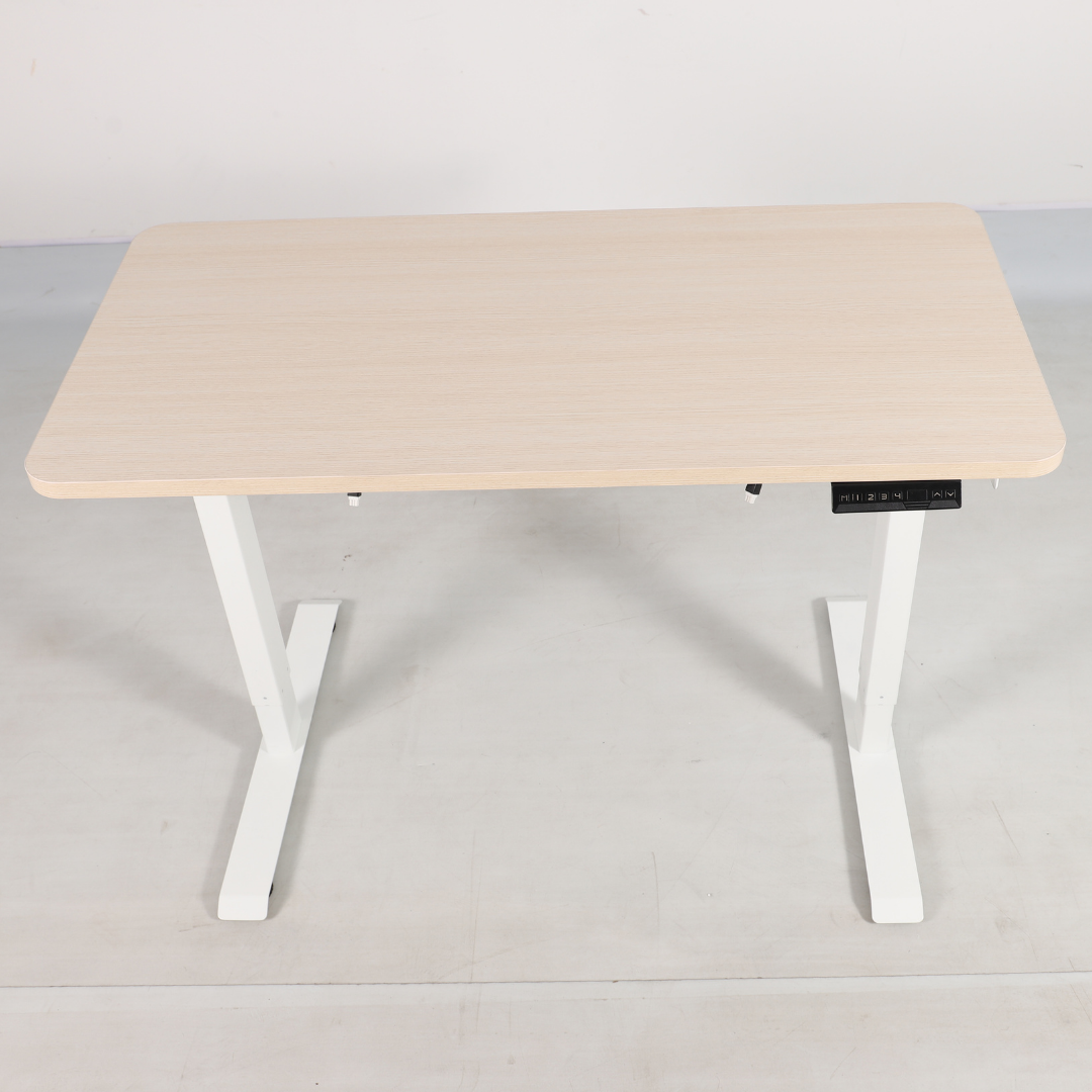 Evo Electric Standing Height Adjustable Desk