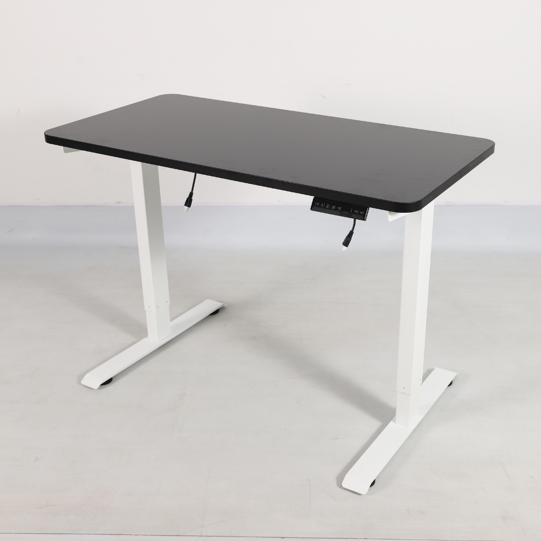 Evo Electric Standing Height Adjustable Desk