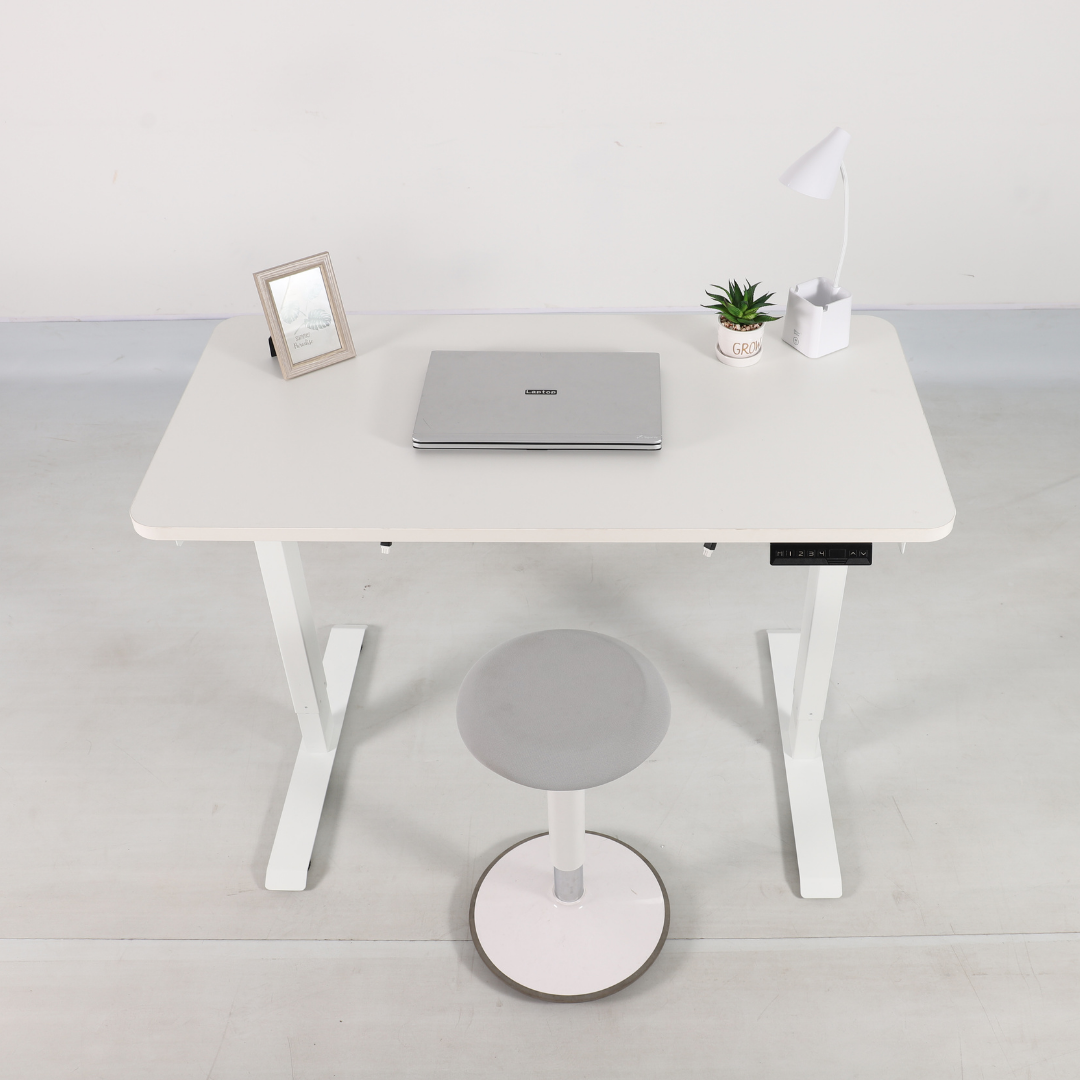 Evo Electric Standing Height Adjustable Desk