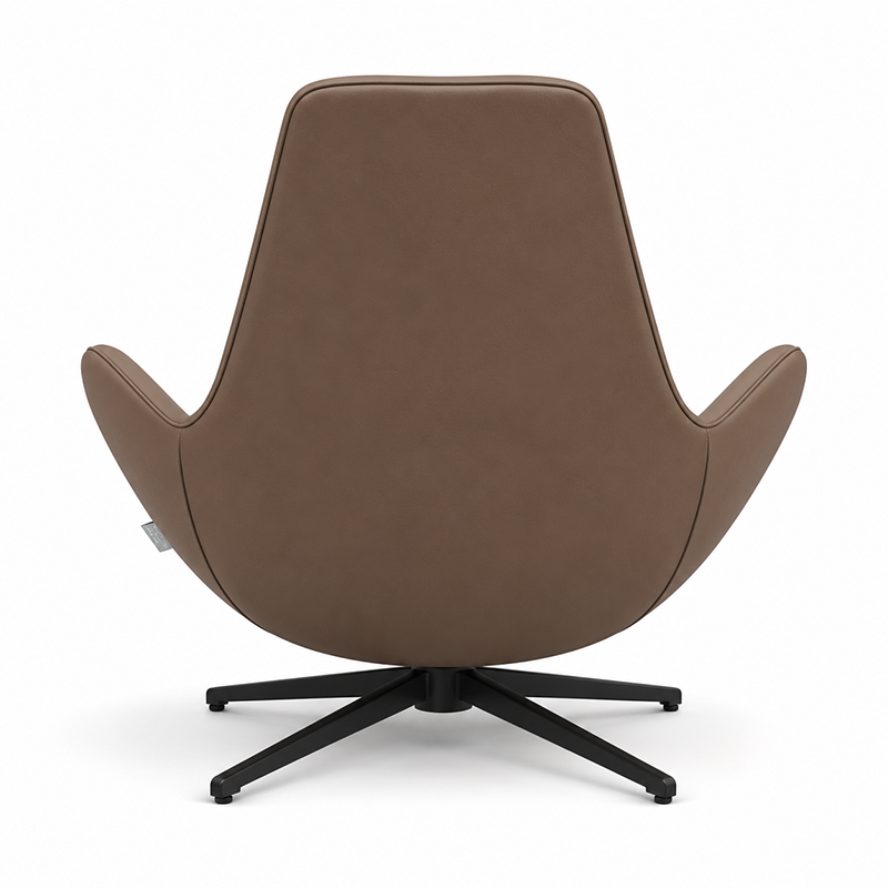 COC1-025 Leisure Chair Armchair (Brown)