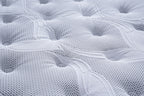 Brighton Mattress