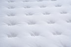 Selene Plus Mattress
