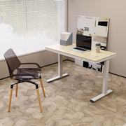 ElevatePro Electric Standing Height Adjustable Desk W120cm (Oak / White)