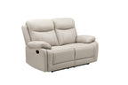 Scott Leather 2 Seat Recliner