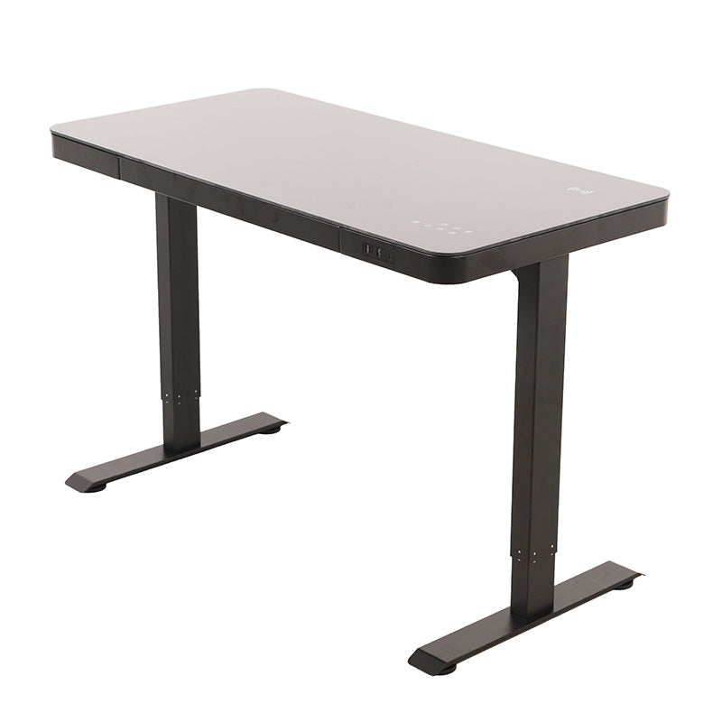 Siri Electric Standing Height Adjustable Desk
