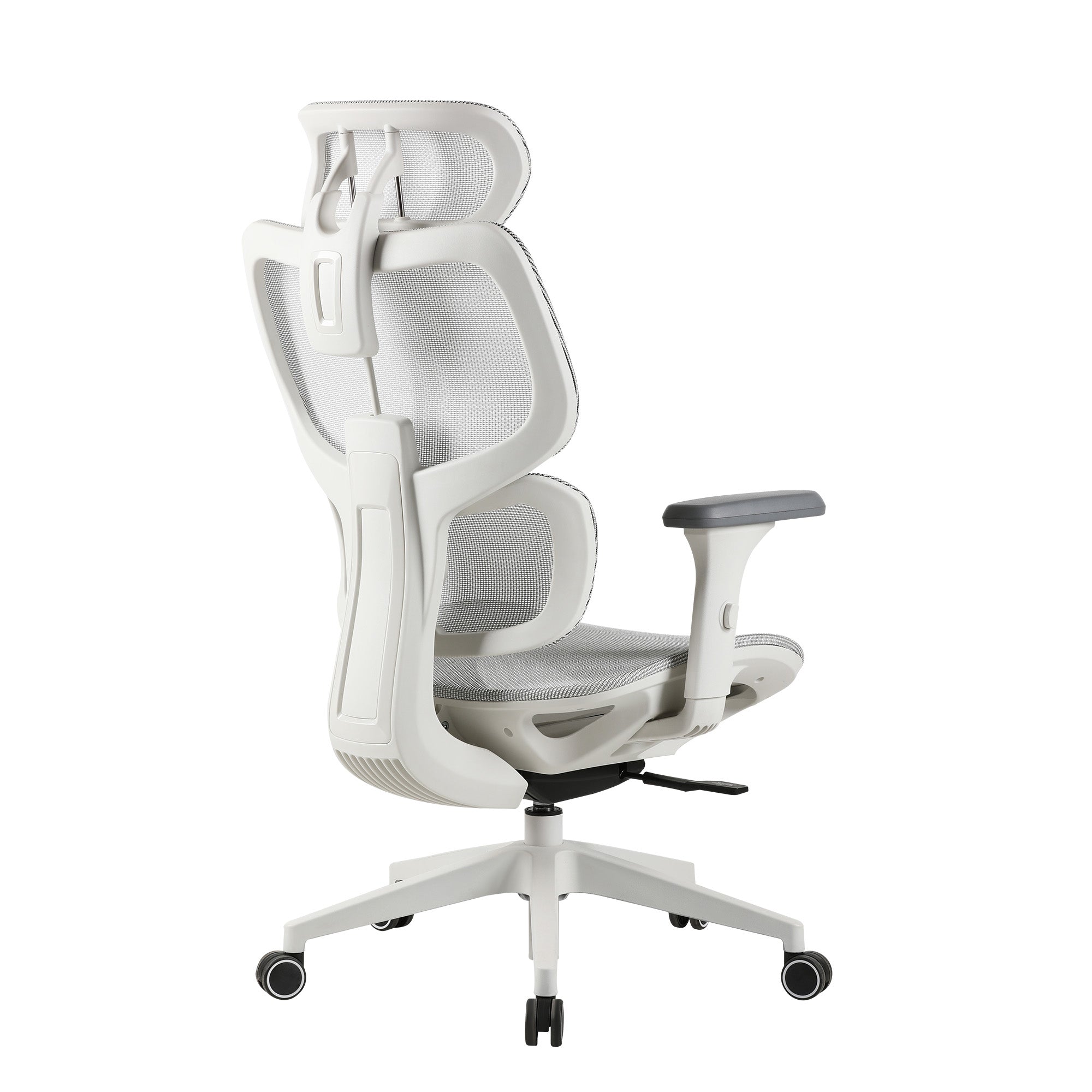 Taupo Office Chair