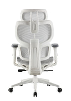 Taupo Office Chair