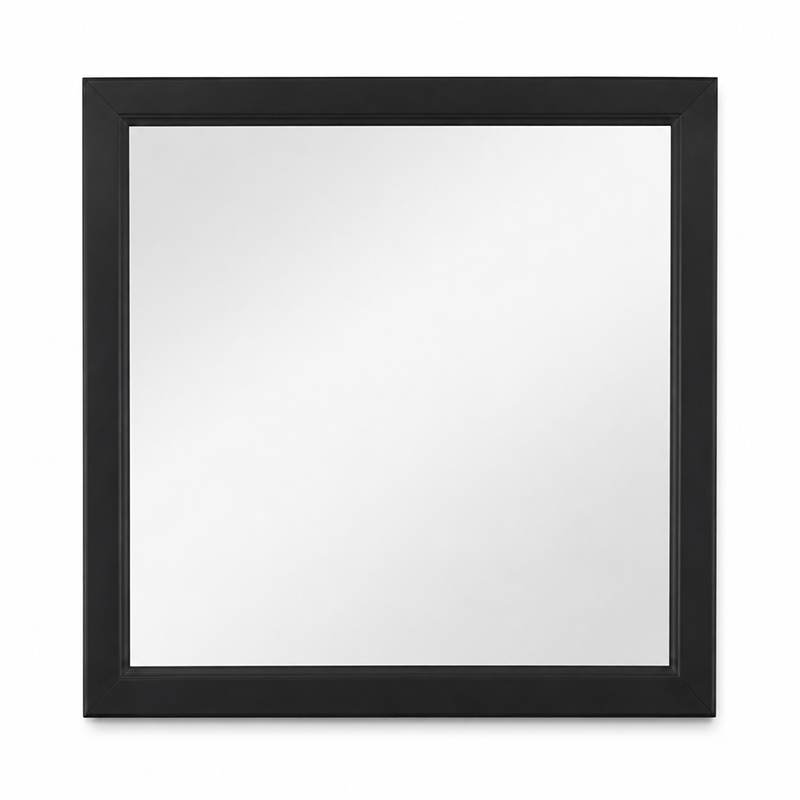 Paiden 6 Drawer Dresser & Mirror (Black)