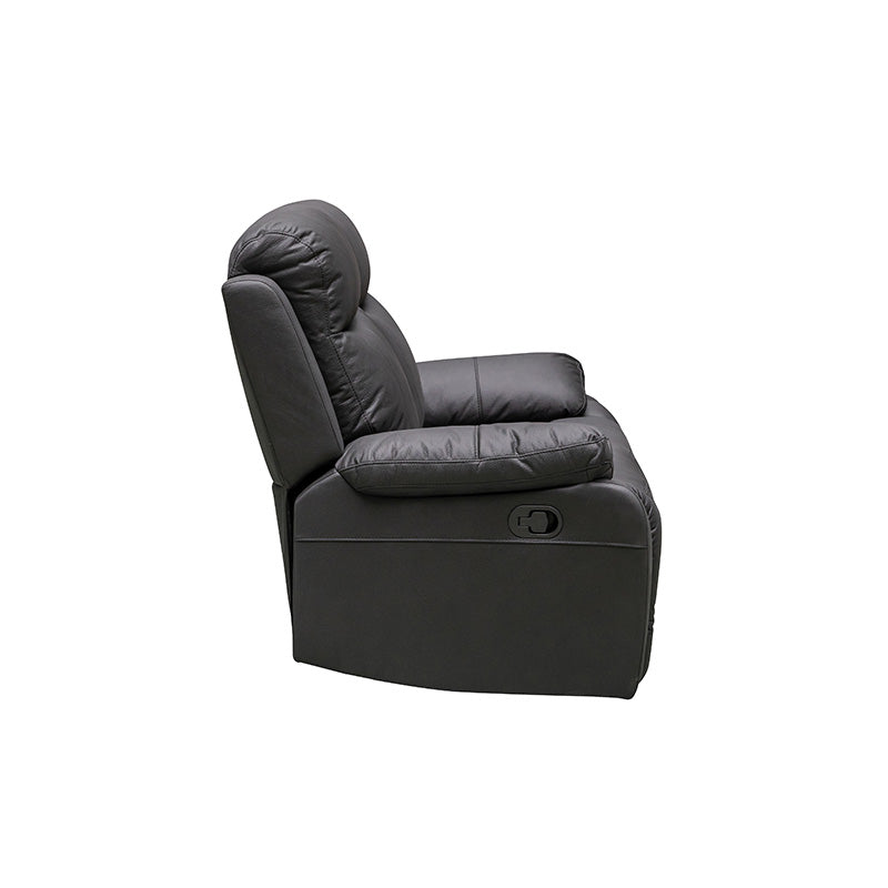 Scott Leather 2 Seat Recliner
