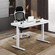 Siri Electric Standing Height Adjustable Desk W120cm (Black / White)